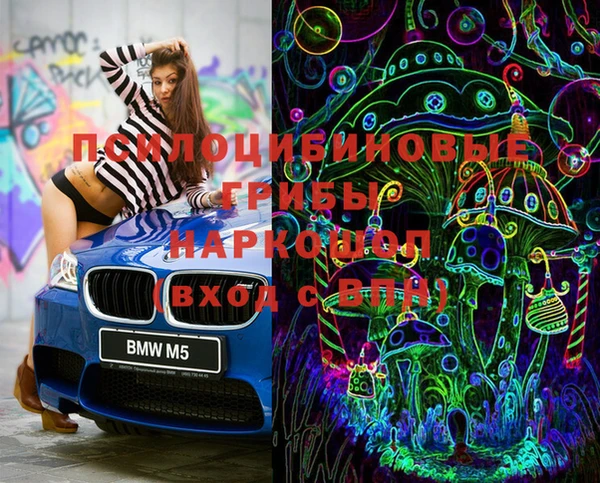 ПСИЛОЦИБИНОВЫЕ ГРИБЫ Липки