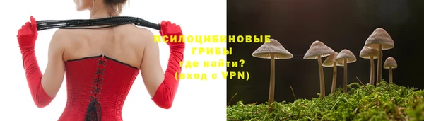 спайс Баксан