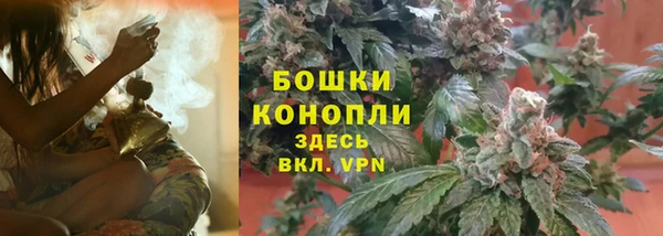 каннабис Белокуриха